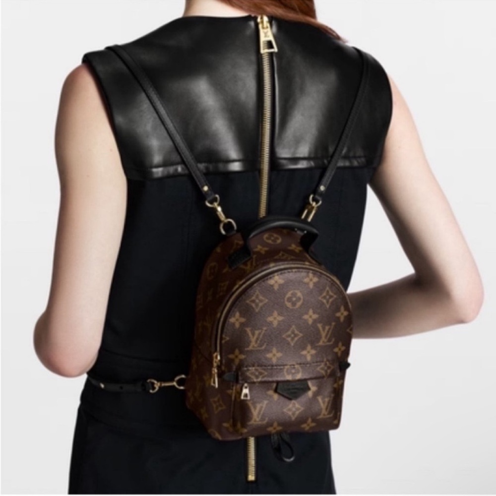 Louis Vuitton Mini Palm Springs